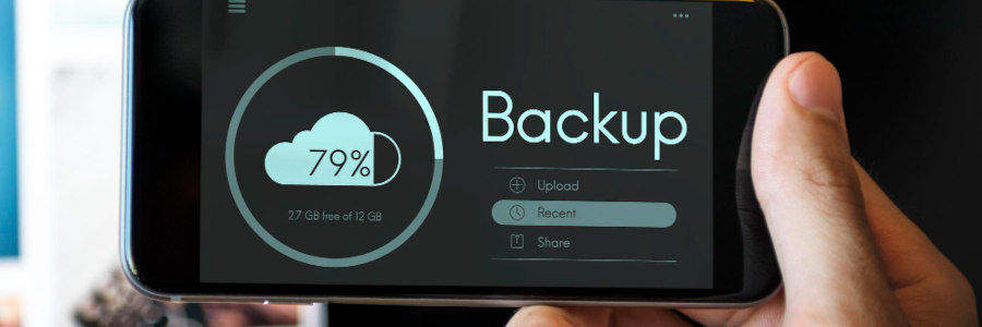 Backup con BORG